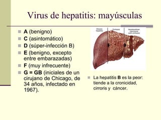 Virus de hepatitis: mayúsculas
 A (benigno)
 C (asintomático)
 D (súper-infección B)
 E (benigno, excepto
entre embarazadas)
 F (muy infrecuente)
 G = GB (iniciales de un
cirujano de Chicago, de
34 años, infectado en
1967).
 La hepatitis B es la peor:
tiende a la cronicidad,
cirroris y cáncer.
 
