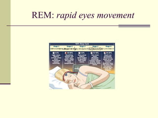 REM: rapid eyes movement
 