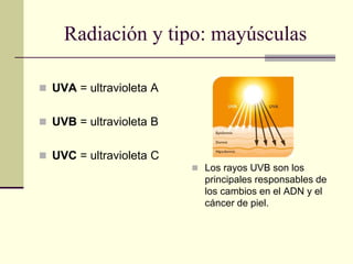 Radiación y tipo: mayúsculas
 UVA = ultravioleta A
 UVB = ultravioleta B
 UVC = ultravioleta C
 Los rayos UVB son los
principales responsables de
los cambios en el ADN y el
cáncer de piel.
 