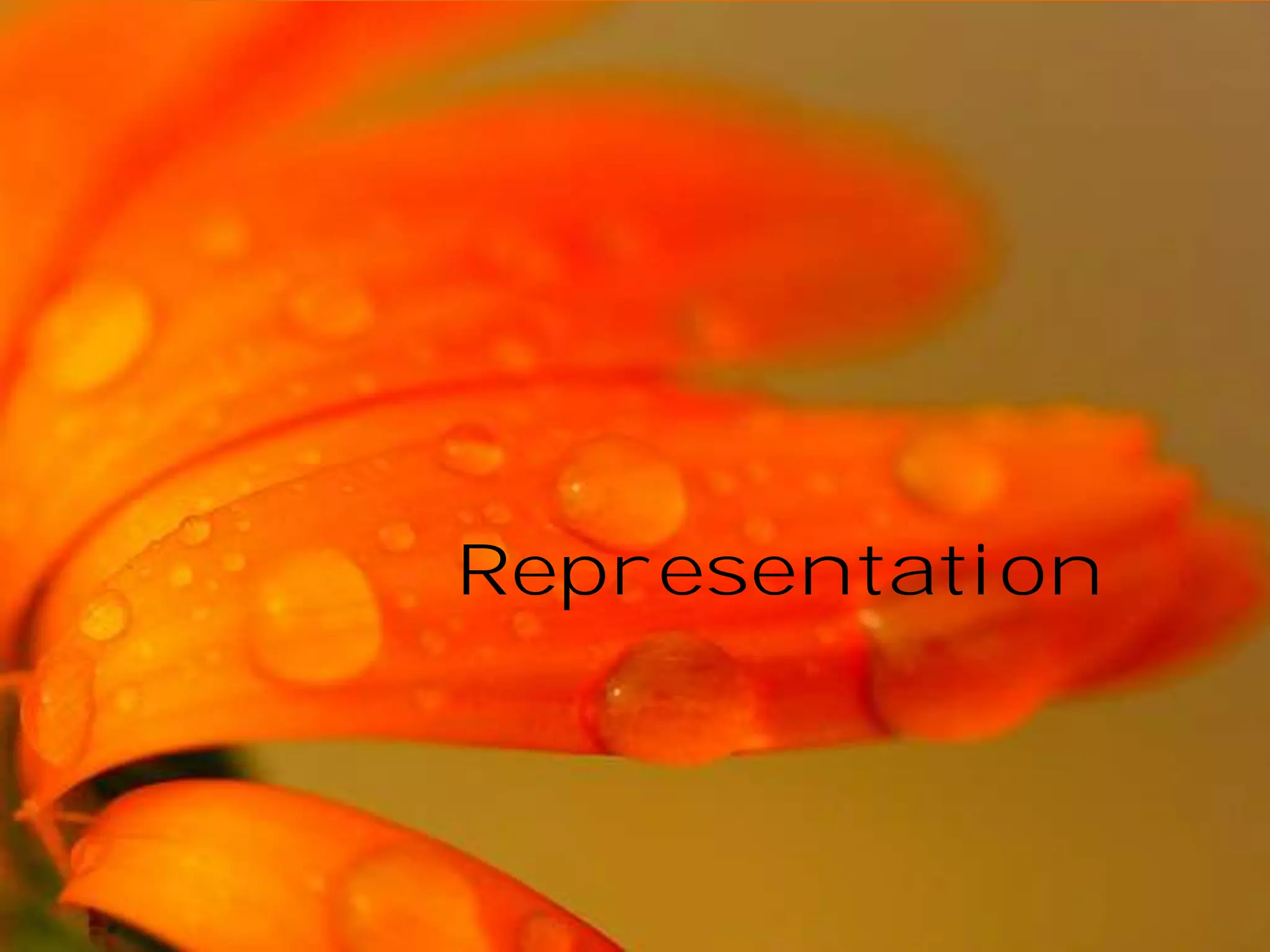 Authorship
and
Creation

 