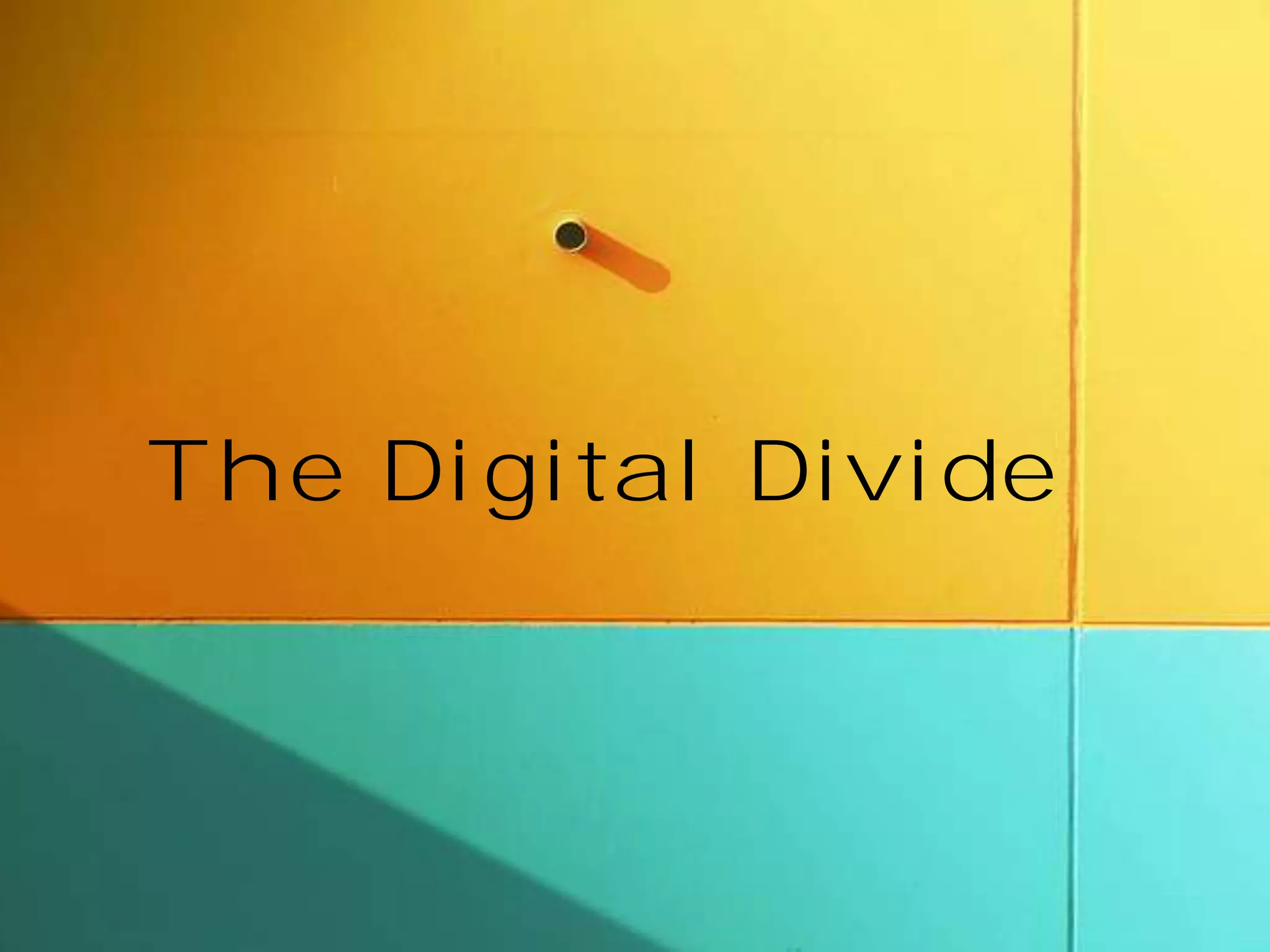 The Digital Divide

 