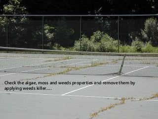 Check the algae, moss and weeds properties and remove them by
applying weeds killer…..
 