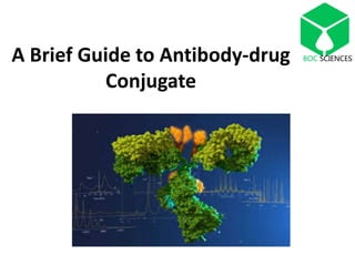 A Brief Guide to Antibody-drug
Conjugate
BOC SCIENCES
 