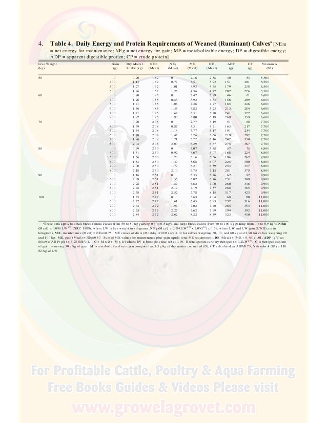 A Brief Guide to Dairy Cattle Feeding & Nutrition