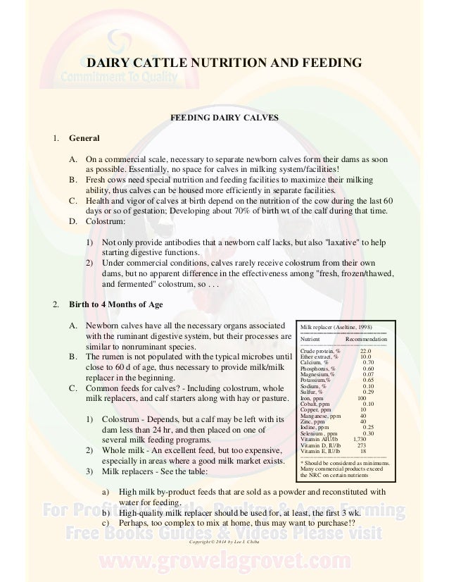 A Brief Guide to Dairy Cattle Feeding & Nutrition