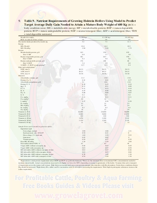 A Brief Guide to Dairy Cattle Feeding & Nutrition