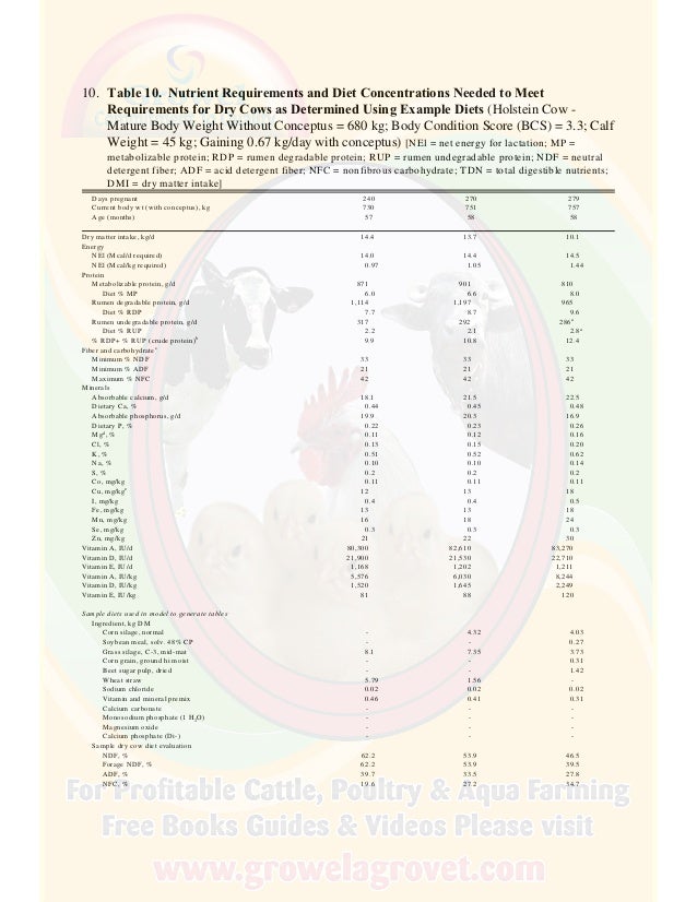 A Brief Guide to Dairy Cattle Feeding & Nutrition