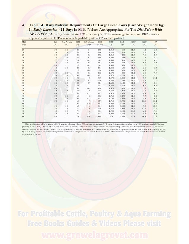 A Brief Guide to Dairy Cattle Feeding & Nutrition