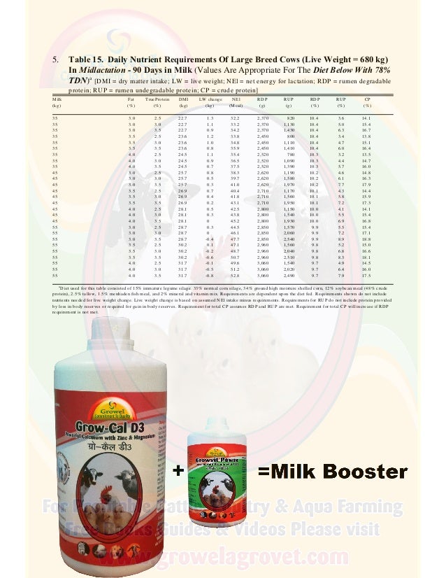 A Brief Guide to Dairy Cattle Feeding & Nutrition