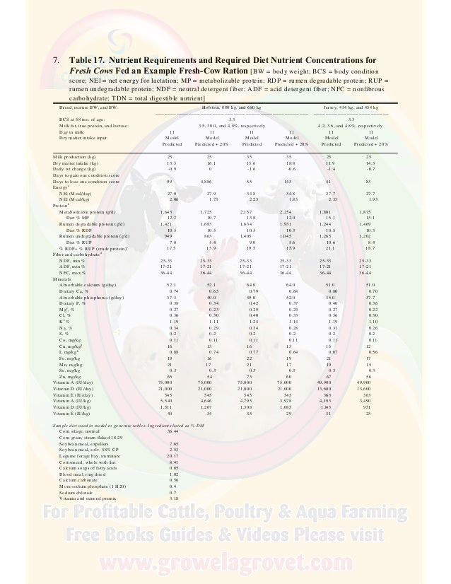 A Brief Guide to Dairy Cattle Feeding & Nutrition