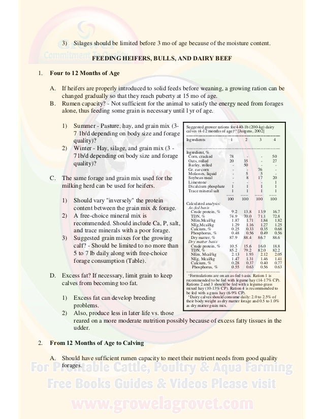 A Brief Guide to Dairy Cattle Feeding & Nutrition
