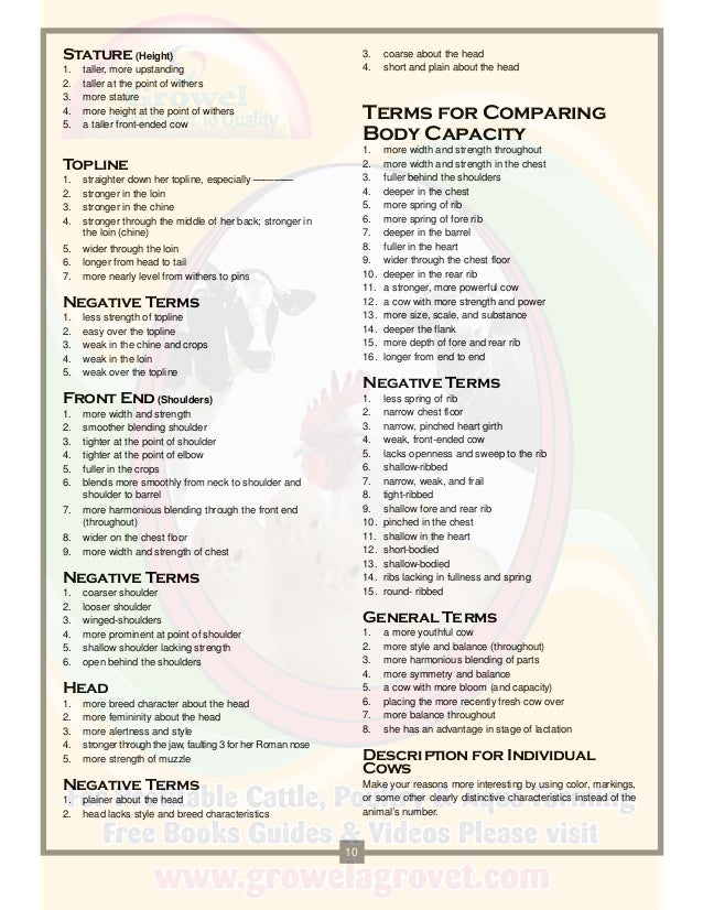 A Brief Guide to Dairy Cattle Judging