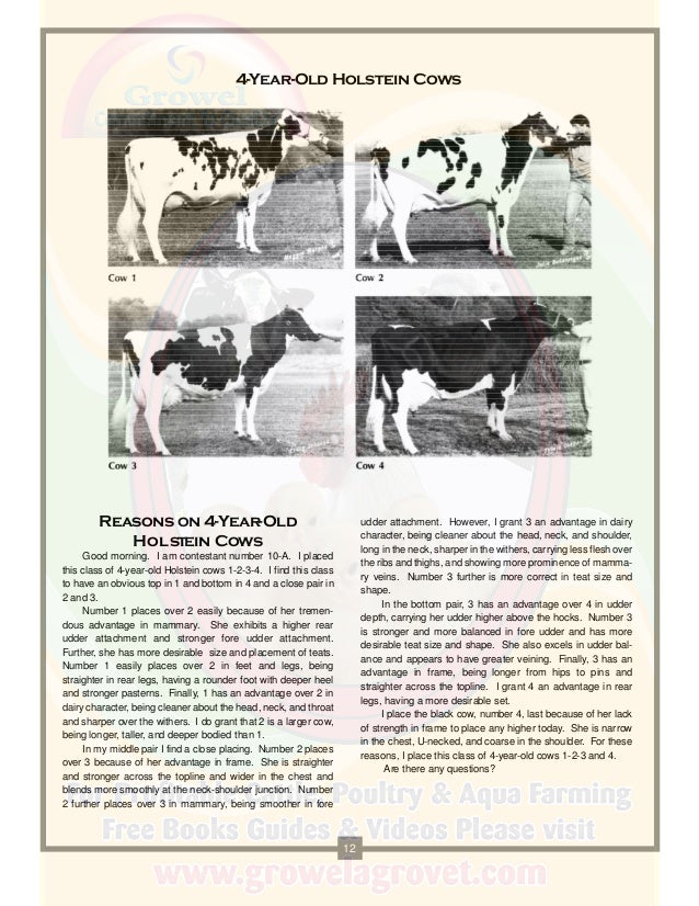 A Brief Guide to Dairy Cattle Judging