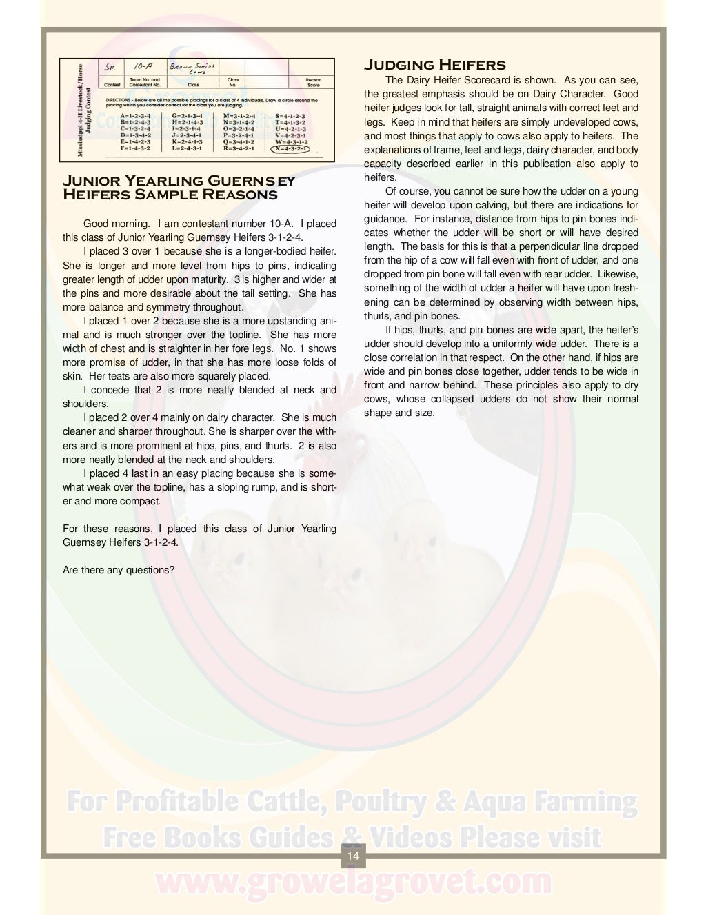 A Brief Guide to Dairy Cattle Judging