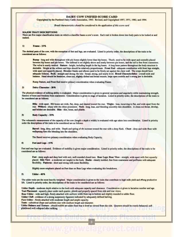 A Brief Guide to Dairy Cattle Judging