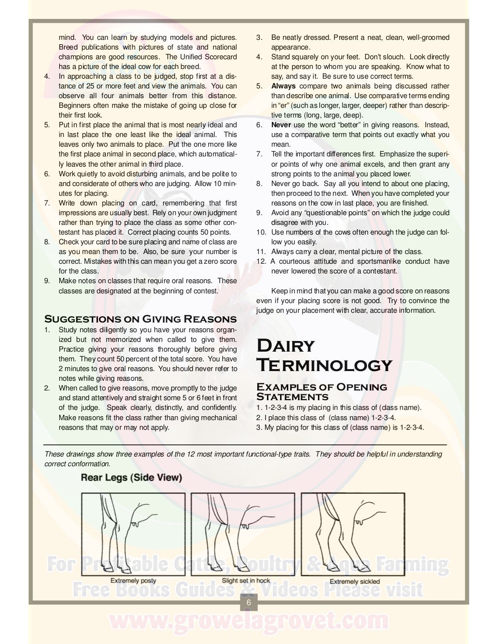 A Brief Guide to Dairy Cattle Judging