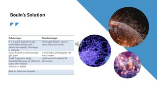 A Brief Guide to Tissue Fixation and Its Importance in Pathology ...