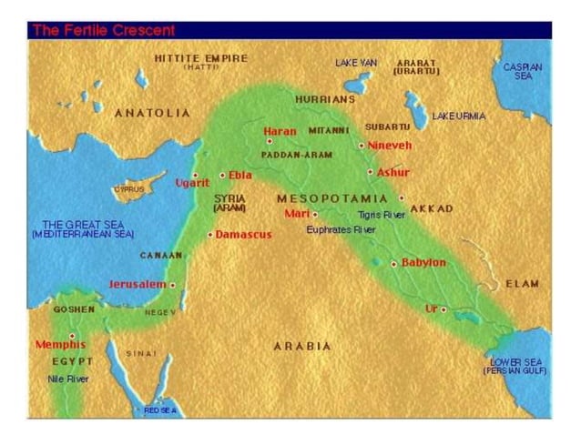 A Brief History of Palestine