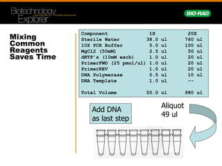 Pcr Sample Mixing A brief History of PCR | PPT