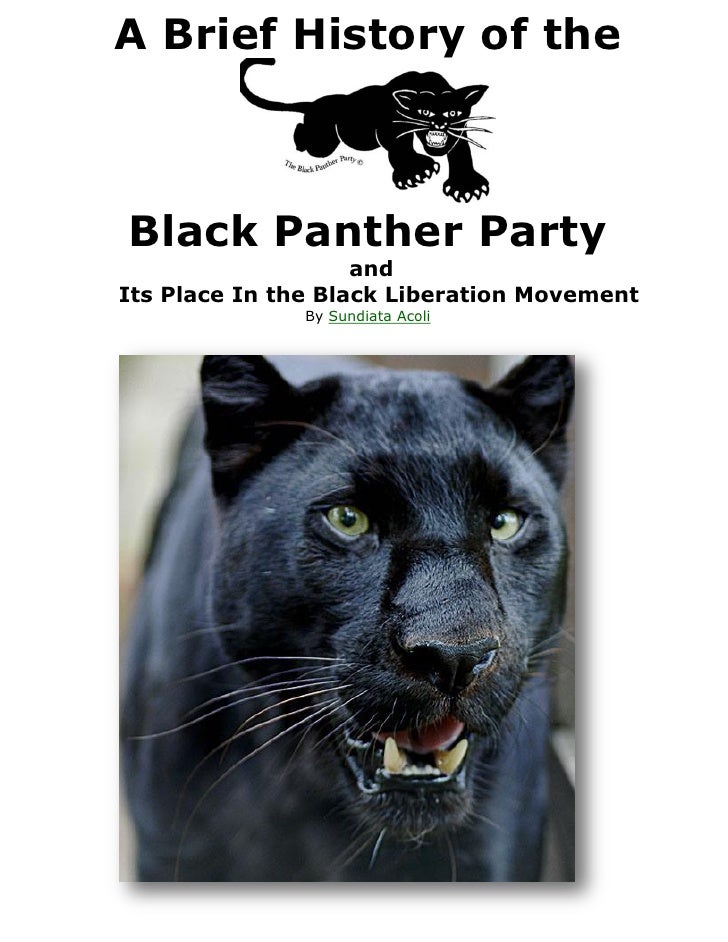 a history of the black panther party There is a black panther born in the ghetto every 20 minutes, former brooks bakery, 113 east 125th st, harlem, 1995 camilo josé vergara the black panther party’s history of urban street art. a history of the black panther party There is a black panther born in the ghetto every 20 minutes, former brooks bakery, 113 east 125th st, harlem, 1995 camilo josé vergara the black panther party’s history of urban street art.