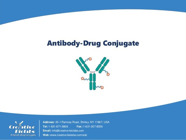 「antibody creative biolabs」的圖片搜尋結果