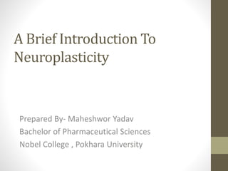 A Brief Introduction To
Neuroplasticity
Prepared By- Maheshwor Yadav
Bachelor of Pharmaceutical Sciences
Nobel College , Pokhara University
 