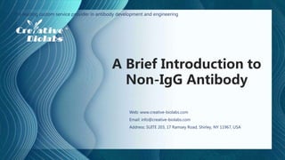 A Brief Introduction to
Non-IgG Antibody
The leading custom service provider in antibody development and engineering
Web: www.creative-biolabs.com
Email: info@creative-biolabs.com
Address: SUITE 203, 17 Ramsey Road, Shirley, NY 11967, USA
 