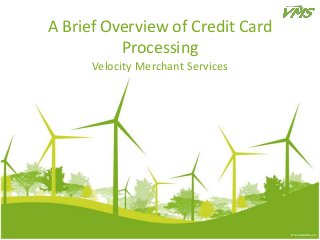 A Brief Overview of Credit Card
          Processing
      Velocity Merchant Services
 