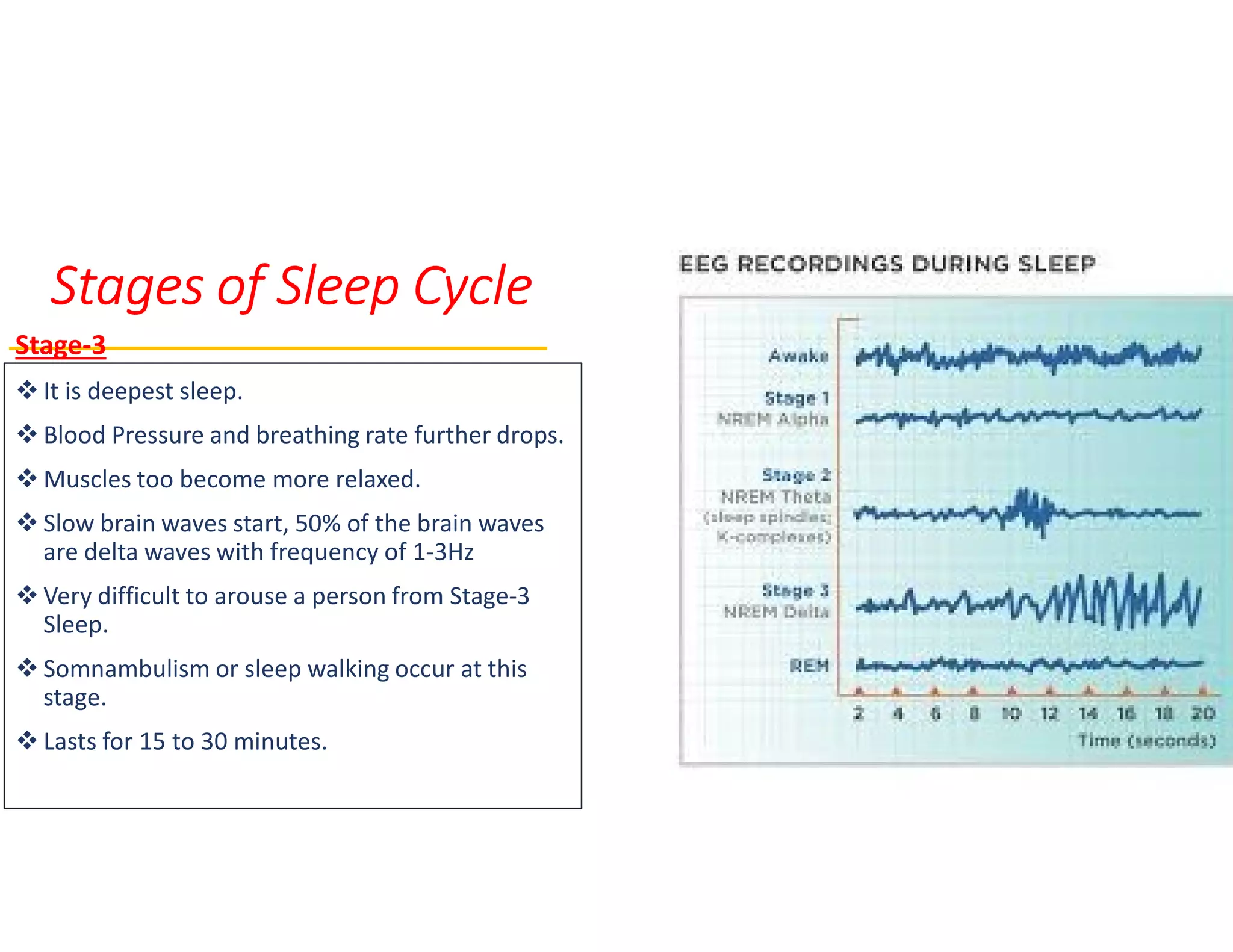 A brief study on sleep. | PDF