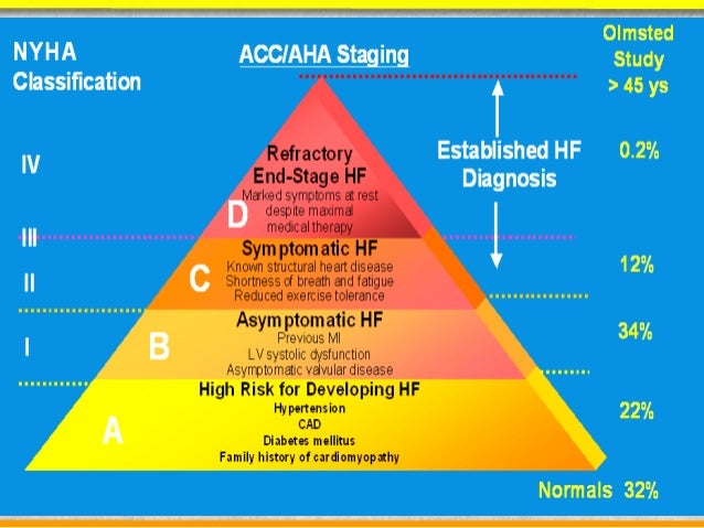 A brief synopsis of acute decompensated heart failure