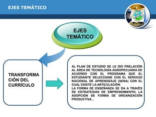 EJES TEMÁTICO

EJES
TEMÁTICO

TRANSFORMA
CIÓN DEL
CURRÍCULO

AL PLAN DE ESTUDIO SE LE DIO PRELACIÓN
AL ÁREA DE TECNOLOGÍA AGROPECUARIA DE
ACUERDO CON EL PROGRAMA QUE EL
ESTUDIANTE SELECCIONE CON EL SERVICIO
NACIONAL DE APRENDIZAJE (SENA) CON EL
CUAL EXISTE LA ARTICULACIÓN.
LA FORMA DE ENSEÑANZA SE DA A TRAVÉS
DE ESTRATEGIAS DE EMPRENDIMIENTO, LA
ADOPCIÓN DE FORMA DE ORGANIZACIÓN
PRODUCTIVA ,.

 