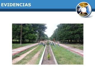 EVIDENCIAS

 
