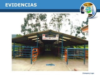 EVIDENCIAS

Company Logo

 