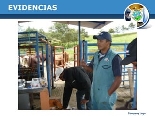 EVIDENCIAS

Company Logo

 