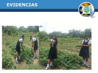 EVIDENCIAS

 