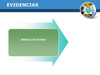 EVIDENCIAS

MANEJO DE VIVERO

 