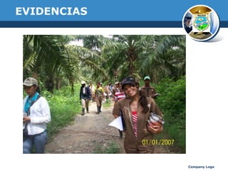 EVIDENCIAS

Company Logo

 