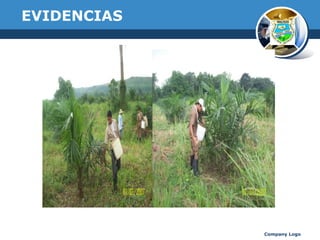 EVIDENCIAS

Company Logo

 