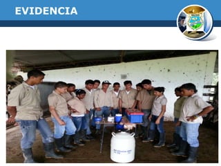 EVIDENCIA

 