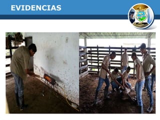 EVIDENCIAS

 