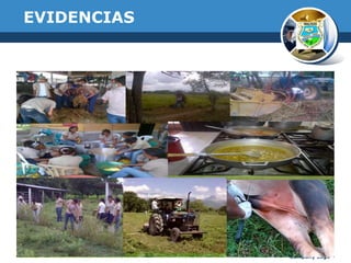 EVIDENCIAS

Company Logo

 