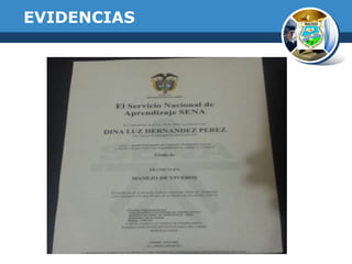 EVIDENCIAS

 