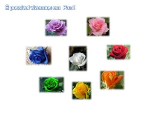 É possível vivermos em Paz !
 