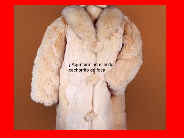 Abrigo de piel de foca Clearance