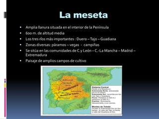 La meseta








Amplia llanura situada en el interior de la Península
600 m. de altitud media
Los tres rÍos más importantes : Duero – Tajo – Guadiana
Zonas diversas: páramos – vegas - campiñas
Se sitúa en las comunidades de C.y León – C.-La Mancha – Madrid –
Extremadura
Paisaje de amplios campos de cultivo

 