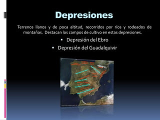 Depresiones
Terrenos llanos y de poca altitud, recorridos por ríos y rodeados de
montañas. Destacan los campos de cultivo en estas depresiones.

 Depresión del Ebro

 Depresión del Guadalquivir

 