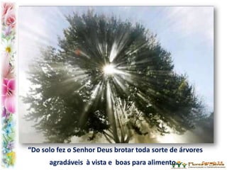 “Do solo fez o Senhor Deus brotar toda sorte de árvores
agradáveis à vista e boas para alimento…