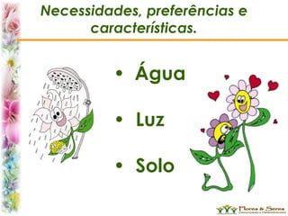 Necessidades, preferências e
características.
• Água
• Luz
• Solo