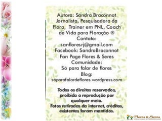 Conversando sobre as Flores, a Vida e a Bíblia.