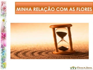 MINHA RELAÇÃO COM AS FLORES